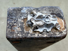 Load image into Gallery viewer, HAND CARVED BOXWOOD GESSO OR PLASTER MOULD. TREEN